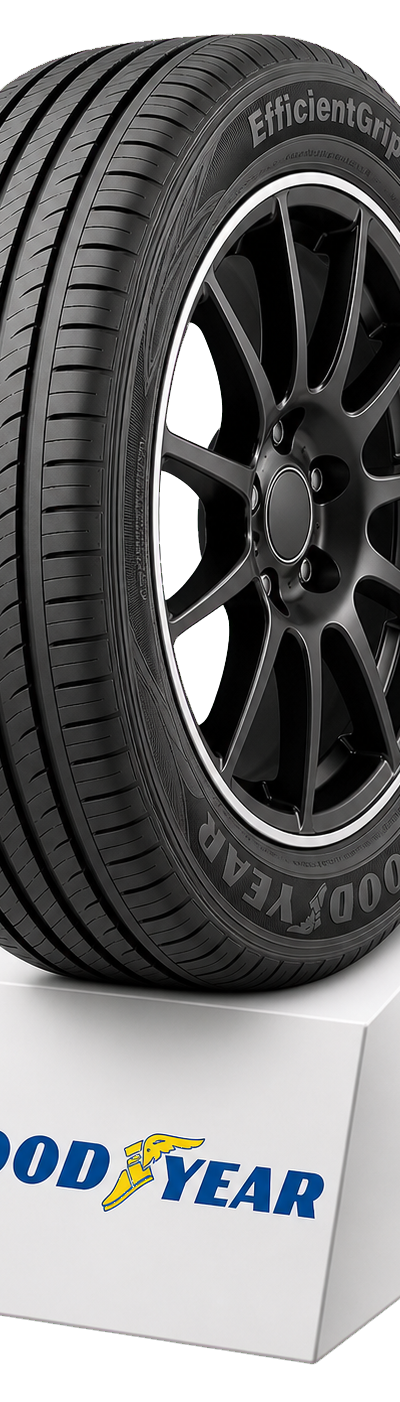 Goodyear EfficientGrip 205/55 R16