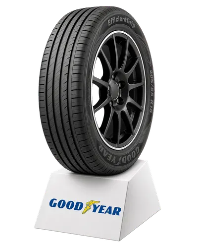 Goodyear EfficientGrip 205/55 R16